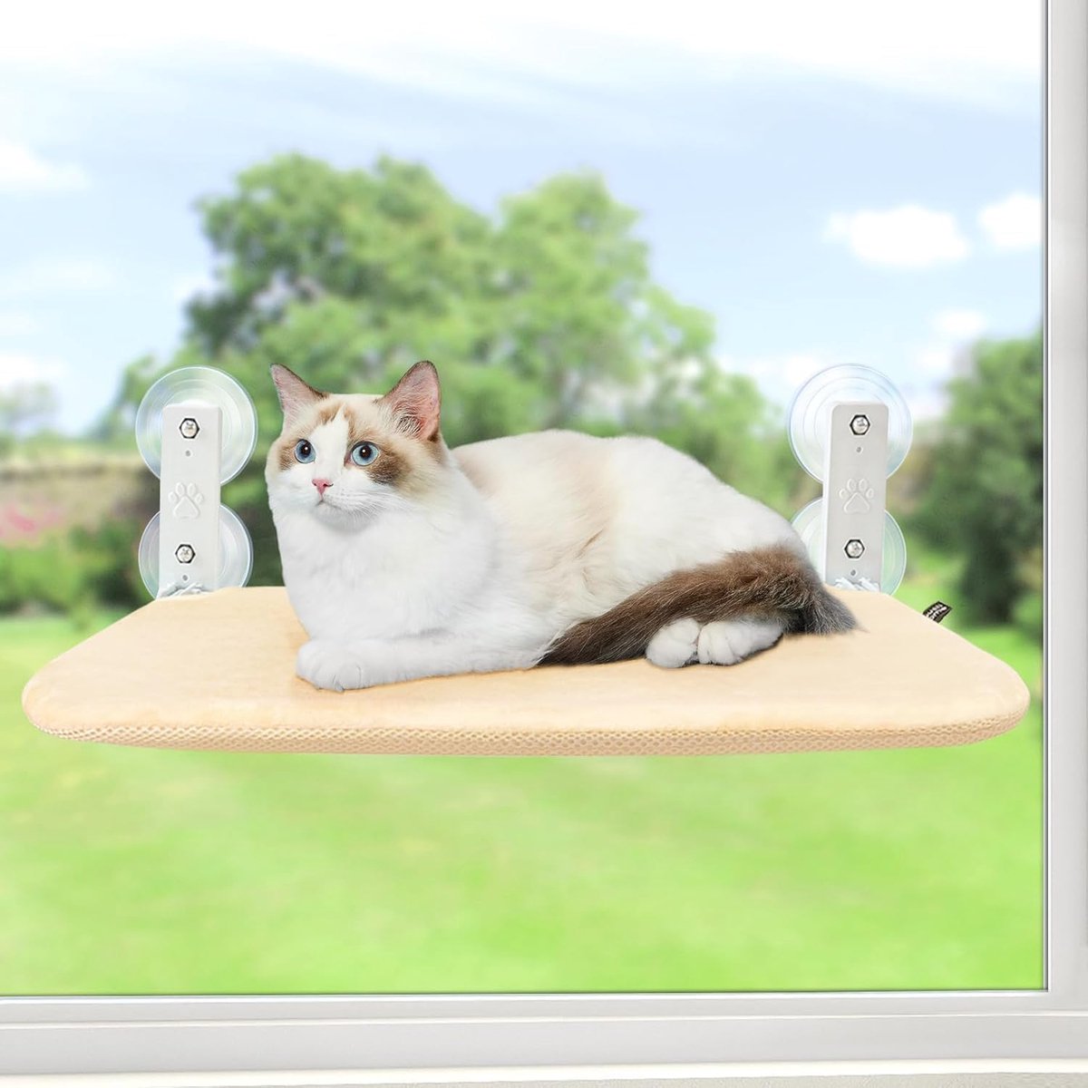 Raam Snoerloze zitstokken Vensterbank Zitbed Opvouwbaar Stabiel ligbed Verbeterde zuignap Eenvoudige montage Binnenkatten Kitty Plank Houdt tot 25 kg (beige, S)