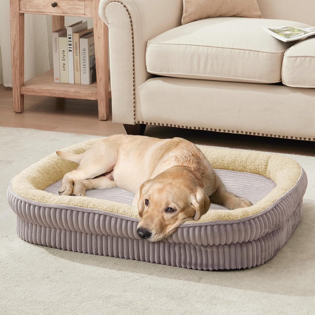 bed voor middelgrote en grote honden, hondenbank van schuim met hoge dichtheid met vierzijdig kussen, huisdierbed, afneembare en wasbare overtrek, antislip bodem