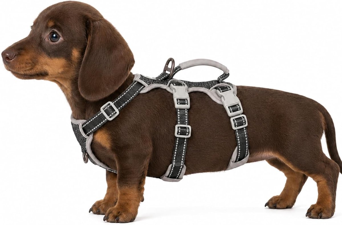 Escape Proof Hondentuig, Ontsnappingskunstenaarsharnas, Volledig Reflecterend Harnas met Gevoerd Handvat, Verstelbaar Vest voor Kleine Honden Wandelen, Hardloopuitrusting (Zwart,XS)