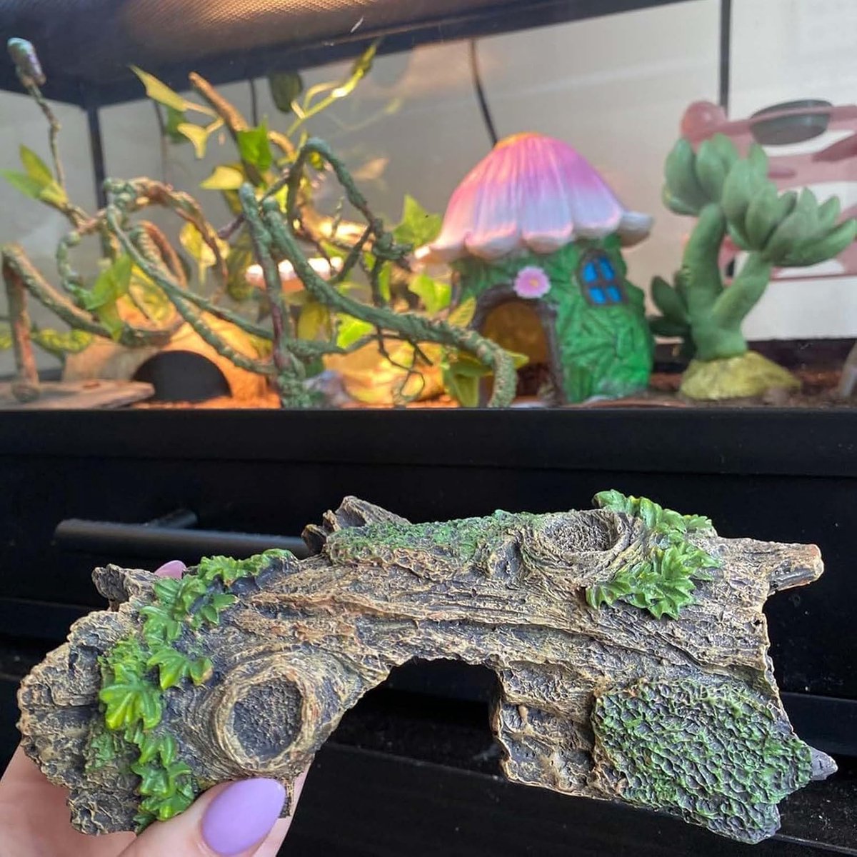 garnalen verstopplaats - holte voor aquarium en terrarium - Welholte Tunnel Accessoires (14cm x 6cm x 5,5cm)