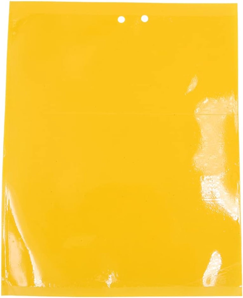 20PCS Gele Fruitvliegenval Fungus Gnat Sticky Vallen voor Planten Insecten Zoals Fungus Gnats Vliegende Bladluis Witte Vliegen Bladmineerders 20x15cm