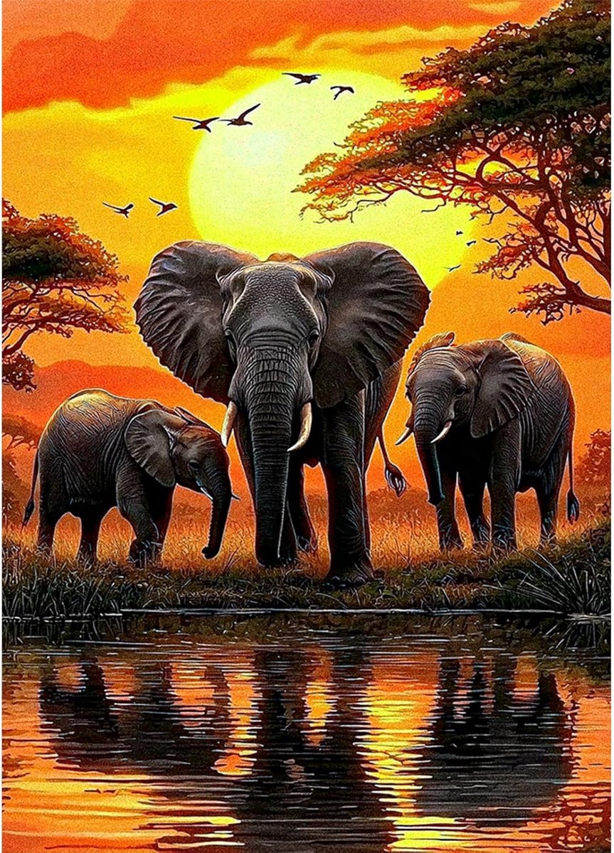 Olifant Diamond Painting set, 5D DIY volledige boor knutselafbeeldingen diamond painting met accessoires, dieren, kristallen kunst, foto diamond painting voor volwassenen, thuis, wanddecoratie