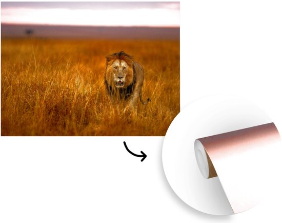 Papier peint - Papier peint photo Papier peint photo - Savane - Herbe - Largeur 415 cm x hauteur 300 cm