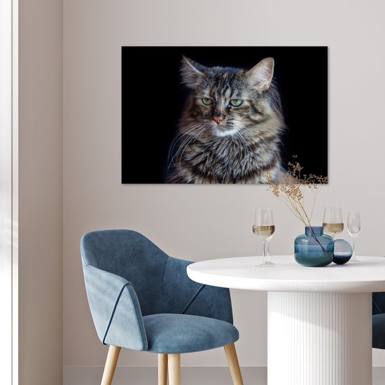 Poster Chat Maine Coon fond noir 90x60 cm - Tirage photo sur Poster (décoration murale salon / chambre) / Poster Animaux domestiques