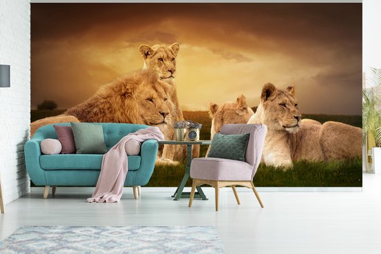 Papier peint - Papiers Papier peint photo Lions - Herbe - Ciel - Largeur 395 cm x Hauteur 220 cm