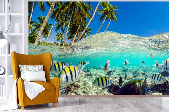 Behang - Fotobehang Strand - Vissen - Kleuren - Breedte 420 cm x hoogte 280 cm