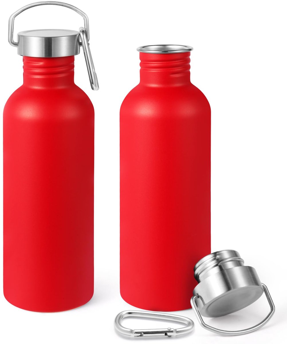 Wegwerp-drinkflessen 1000 ml - roestvrij staal - met handvat en karabijnhaak - ideaal voor wandelen en fietsen - ShopVlot