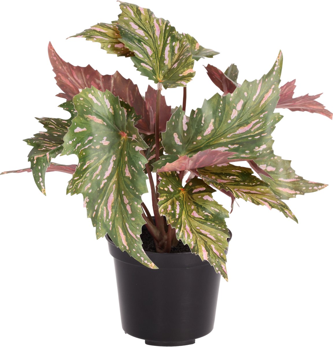 Begonia Rex kunstplant groen rood 20cm in kweekpot