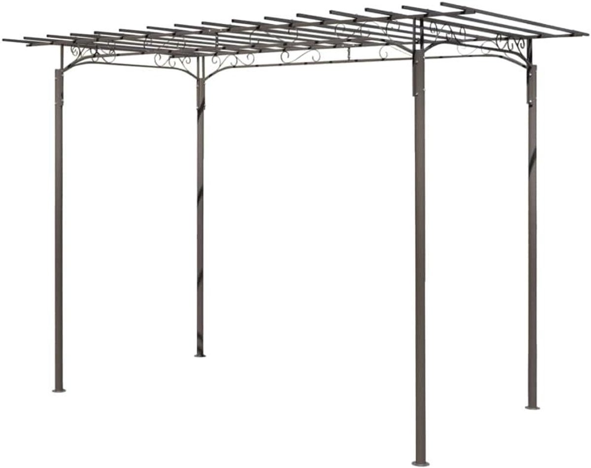 Rozenboog Staal - Tuinboog Klimplanten - Decoratieve Tuinondersteuning - Weerbestendig Metaal - 190 x 320 cm - Antraciet