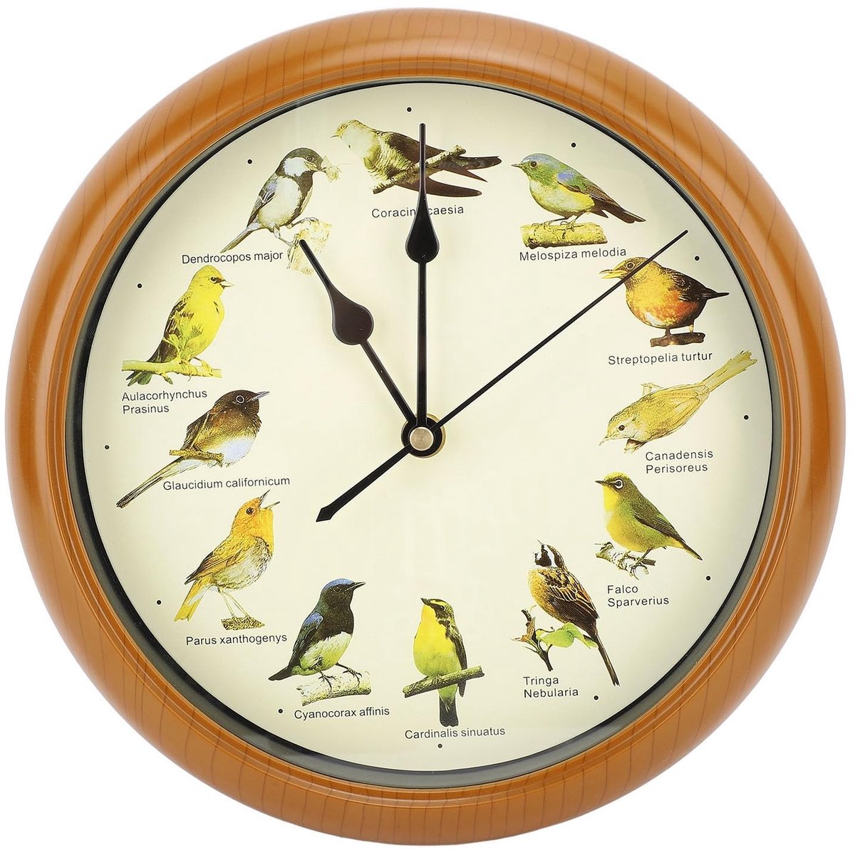 Omgoods - Wandklok - Decoratieve klok - Stiltetijd 's Nachts - Inheemse zangvogels - Woondecoratie - Geschikt voor binnen - Bruin