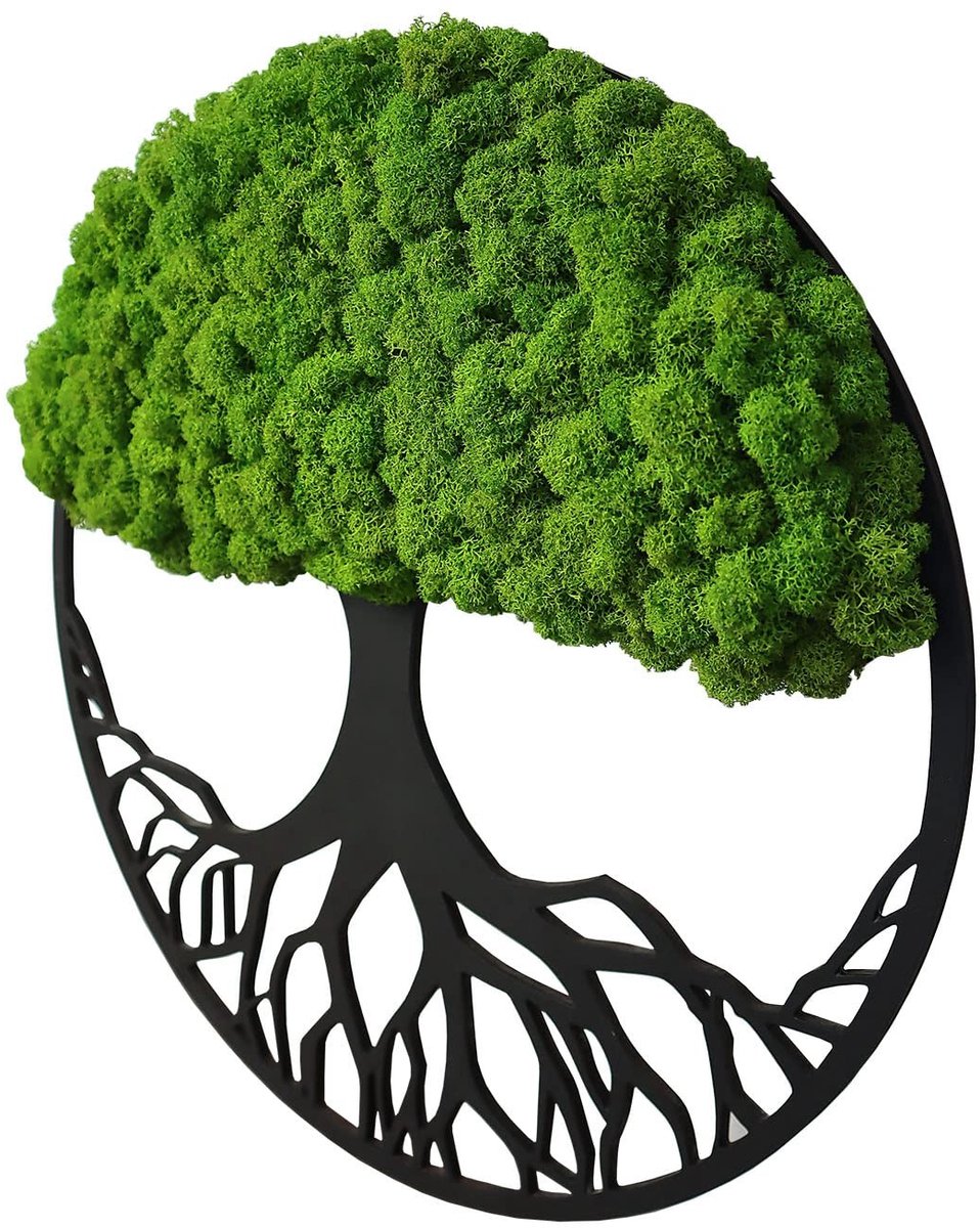 Omgoods - Mosdecoratie Wandbeeld in Boomvorm - Natuurlijke Muurdecoratie voor een Groene Touch