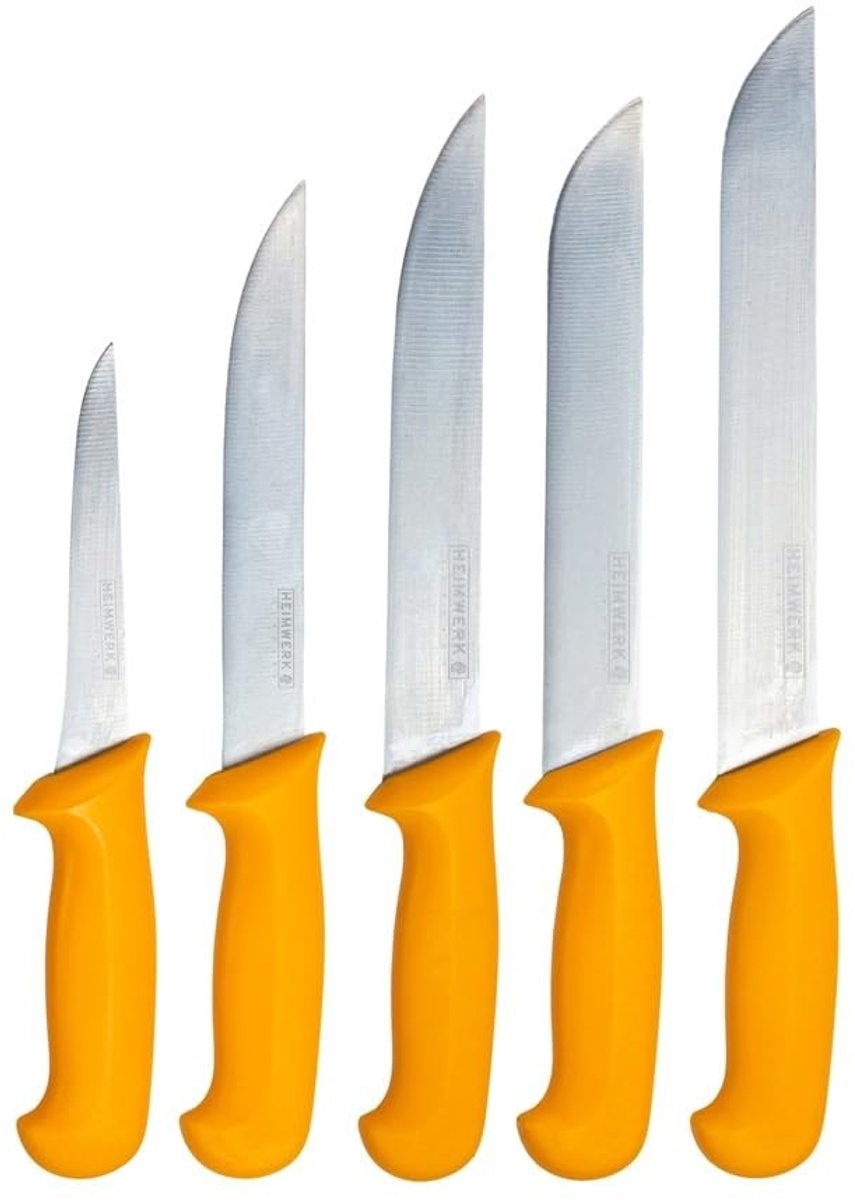 Omgoods - 5-delige Professionele Vleesmes Set van RVS