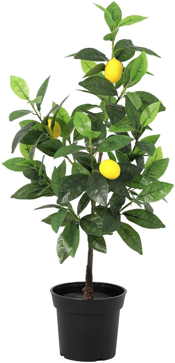 Trendyplants - Kunst Citroenboom - Citroenboom - Kunstplant - Hoogte 65cm - Potmaat Ø15cm