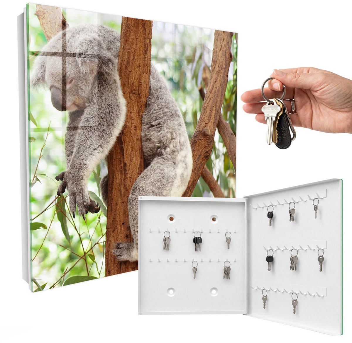 WallMuralia - Sleutelkast - 30x30x5 cm - met 50 haken - Koala Ontspanning Design Sleutelkastje - Grijs Sleutelbox - Rechtsopenend - Wit interieur