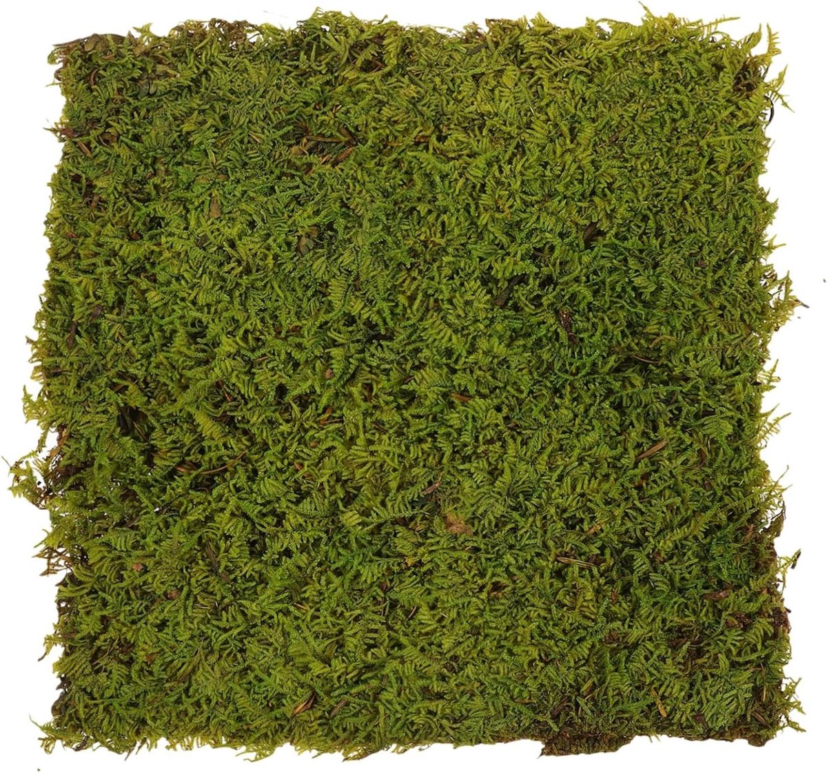 Kunstgras Decoratie - Nep Gras Tapijt - Hobby Knutselen - Realistische Simulatie - 30 x 30 cm - Groen