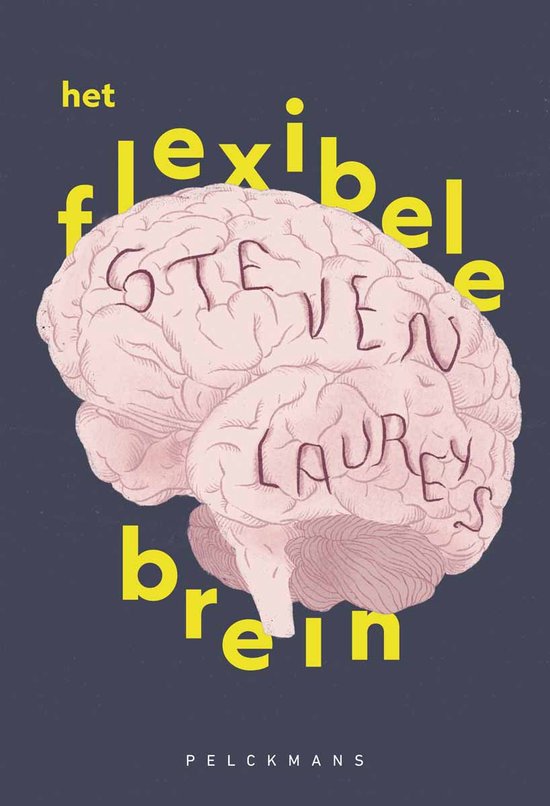 Boekcover met illustratie van een brein, met de tekst 'het flexibele brein' en de naam 'Steven Laureys'.