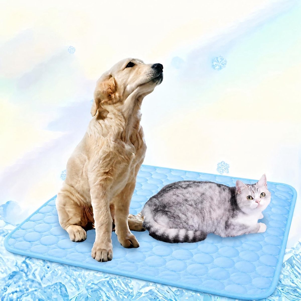 Koelmat voor honden, zelfkoelend, hondenkoelmat, zomer, koelkussen