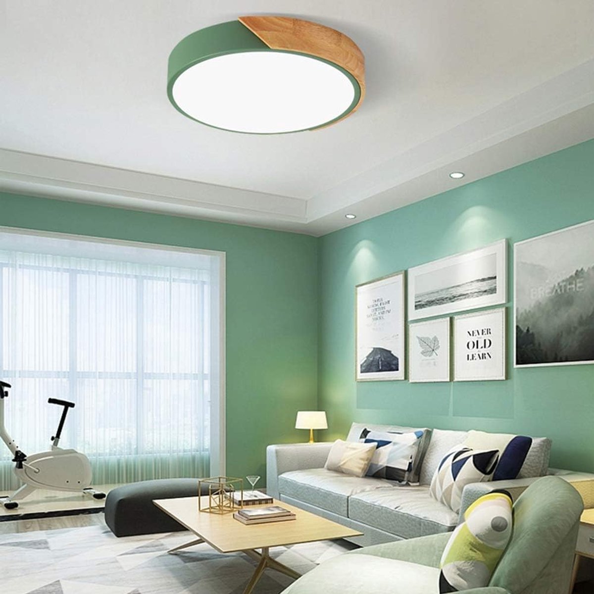 driekleurige LED-plafondlamp met dimfunctie voor inbouwmontage, groen, 40cm