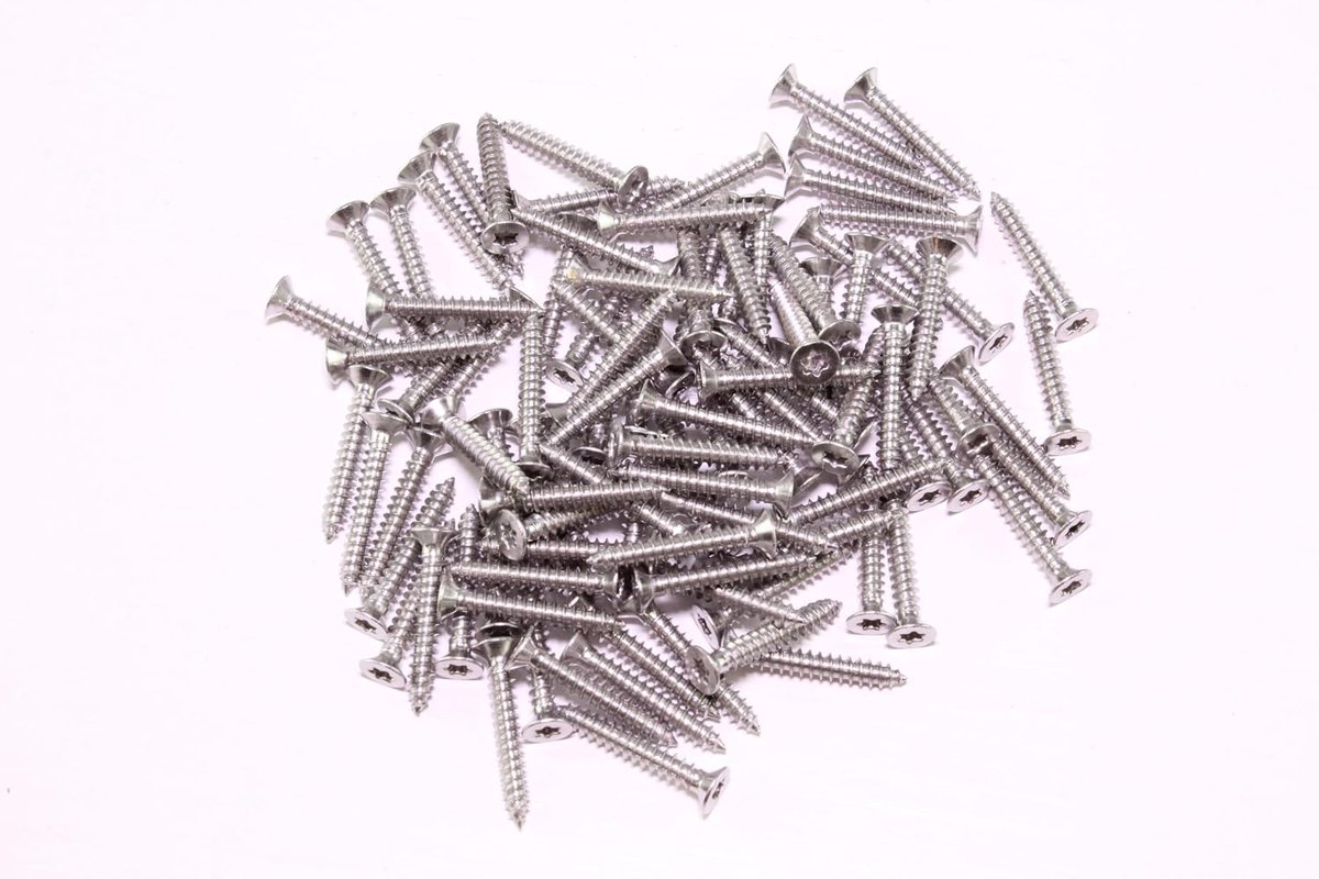 2021 modelbouwschroeven houtschroeven RVS Torx 100 st. 3,0x20mm bahnwaren