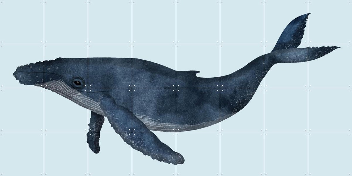 IXXI Whale, Merel Corduwener - 160 x 80 cm - Gratis ophangtool - Grote wanddecoratie en posters - Illustraties, Aquarel, Illustraties, Badkamer
