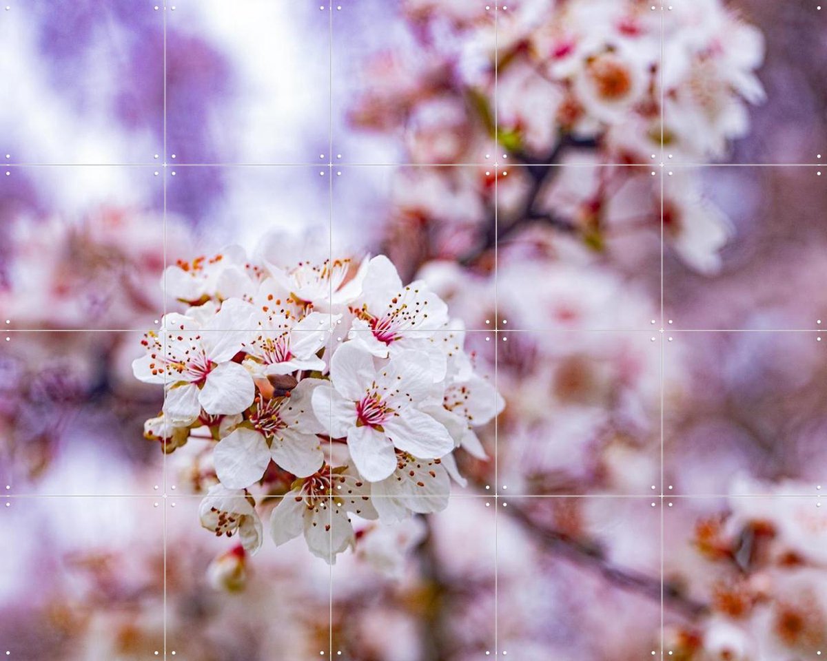 IXXI Spring Flowers, Margriet Hulsker - 100 x 80 cm - Gratis ophangtool - Grote wanddecoratie en posters - Fotografie, Slaapkamer, Woonkamer, Bloemen