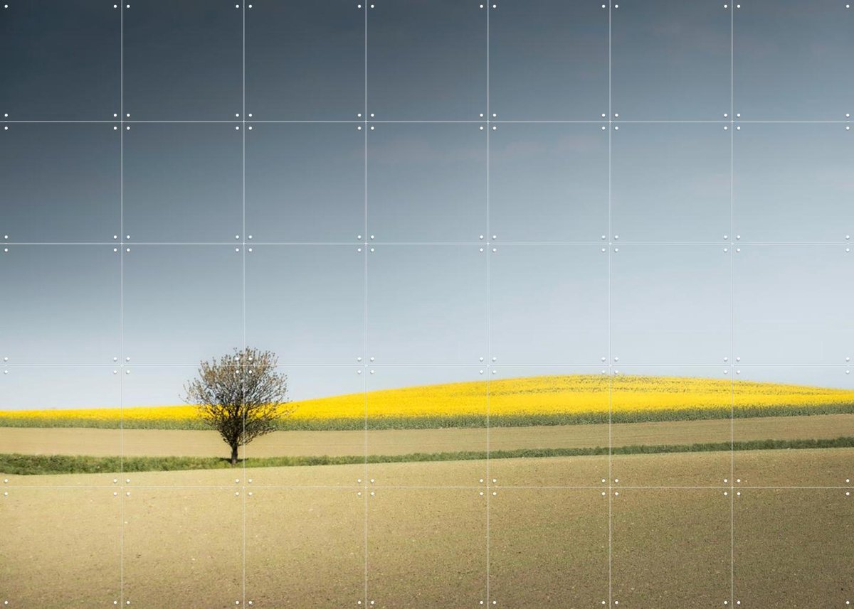 IXXI Lone Tree in Spring Light, Claire Droppert - 140 x 100 cm - Gratis ophangtool - Grote wanddecoratie en posters - Fotografie, Gang, Studeerkamer