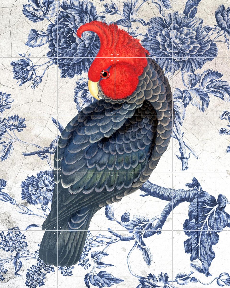 IXXI Chinoiserie Cockatoo, Marja van den Hurk - 80 x 100 cm - Gratis ophangtool - Grote wanddecoratie en posters Woonkamer, Gang, Eetkamer, Vogels