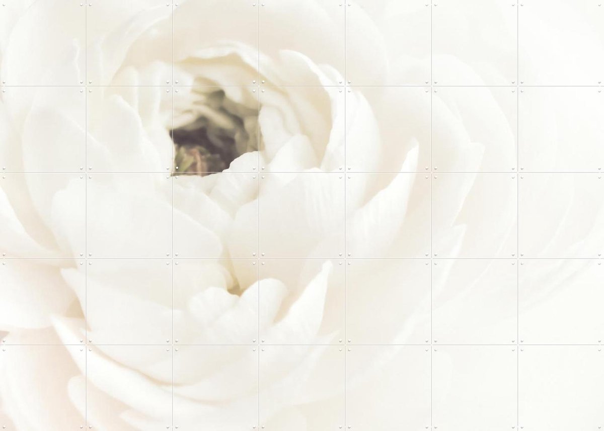 IXXI White Flower 02, 1x Studio II & Various - 140 x 100 cm - Gratis ophangtool - Grote wanddecoratie en posters - Realisme, Impressionisme
