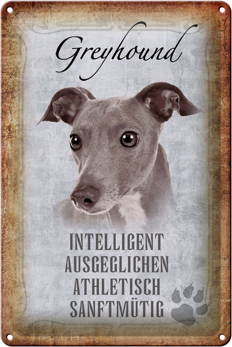 Blechschild Spruch 20x30cm Greyhound Hund Schild