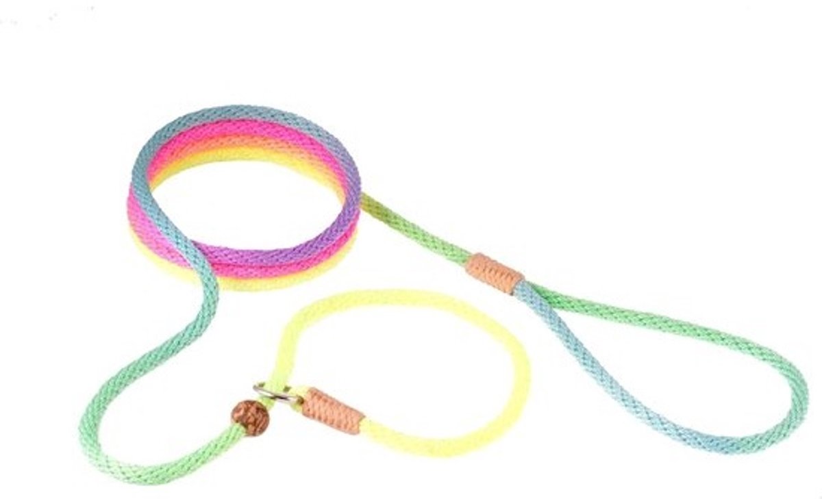 Hondenlijn - Slip Lijn - Hond Uitlaten - Met Verstelbare Stop - 6mm X 1.8m - Meerkleurig