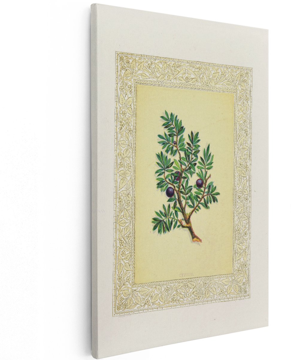 Artaza Canvas Schilderij Botanische Tak - 120x180 cm - Groot - Wanddecoratie Vintage Bessen - Muurdecoratie Botanisch - Decoratie Plant Woonkamer