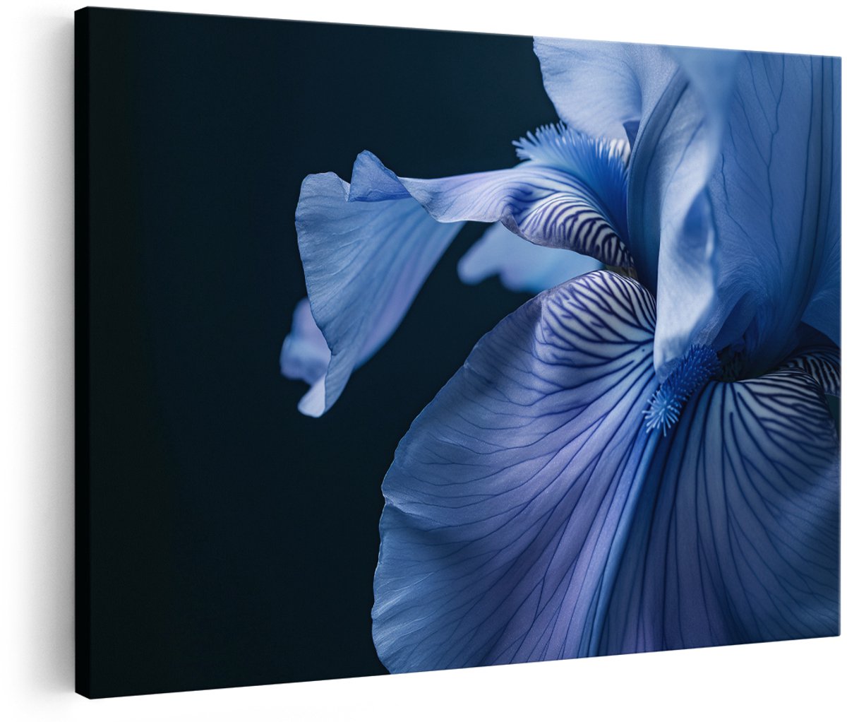 Artaza Canvas Schilderij Iris - 180x120 cm - Groot - Wanddecoratie Bloemen - Muurdecoratie Natuur - Decoratie Bloem - Blauw