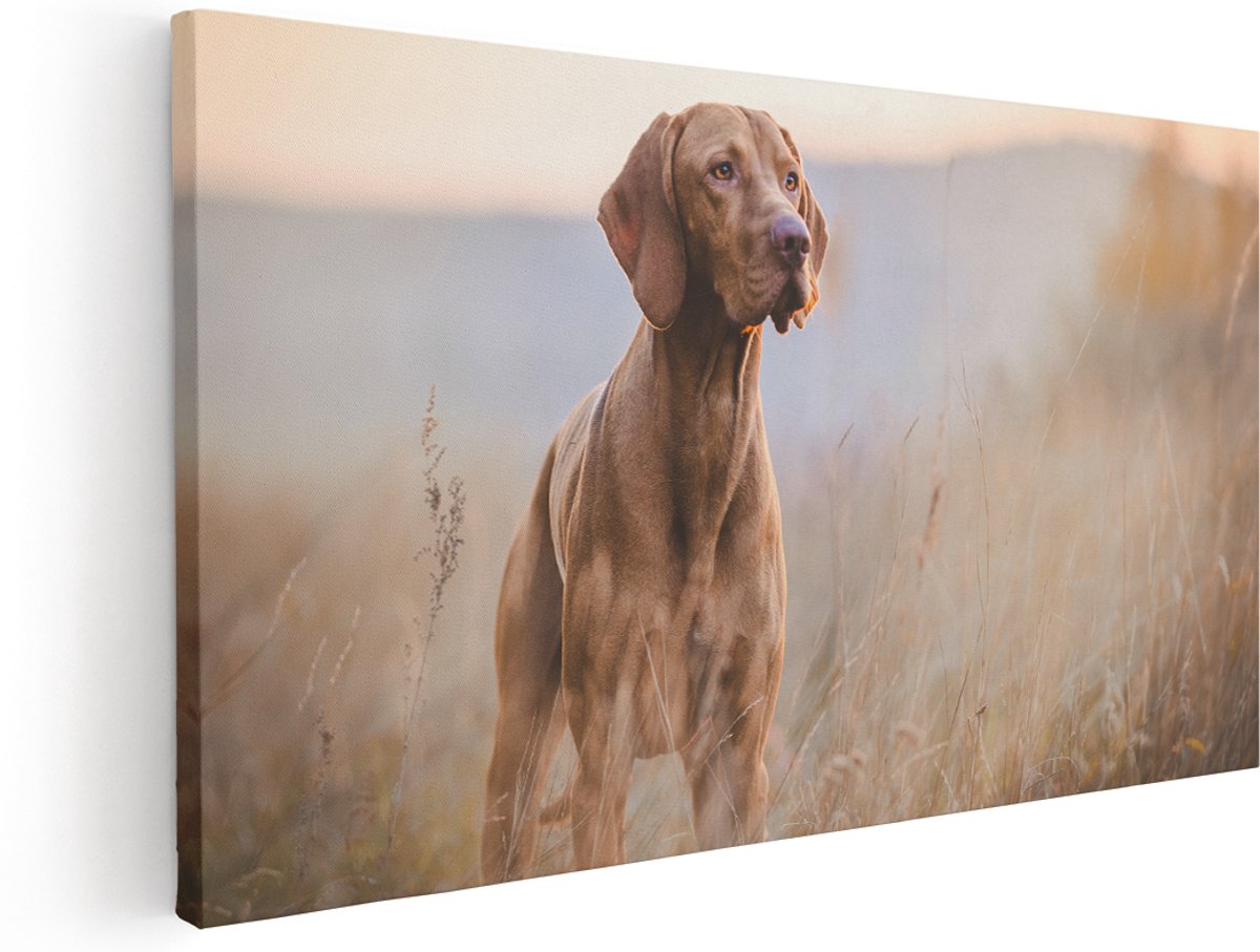 Artaza Canvas Schilderij Hongaarse Vizsla Hond In Het Gras - 140x70 cm - Groot - Wanddecoratie Woonkamer - Schilderijen - Muurdecoratie