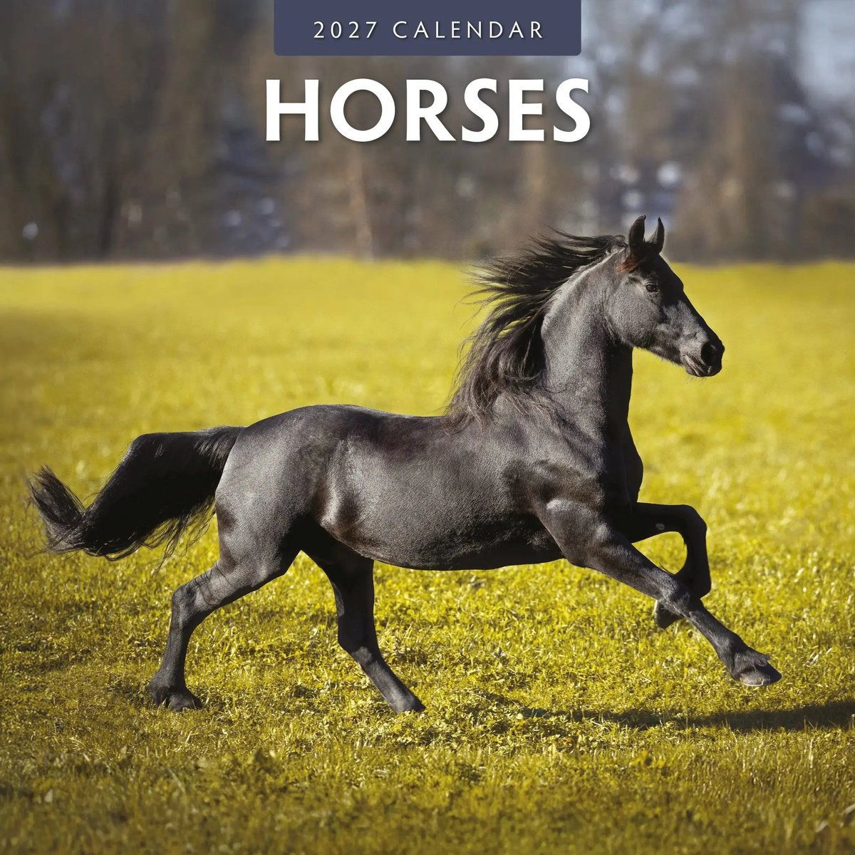 Paarden Kalender 2027