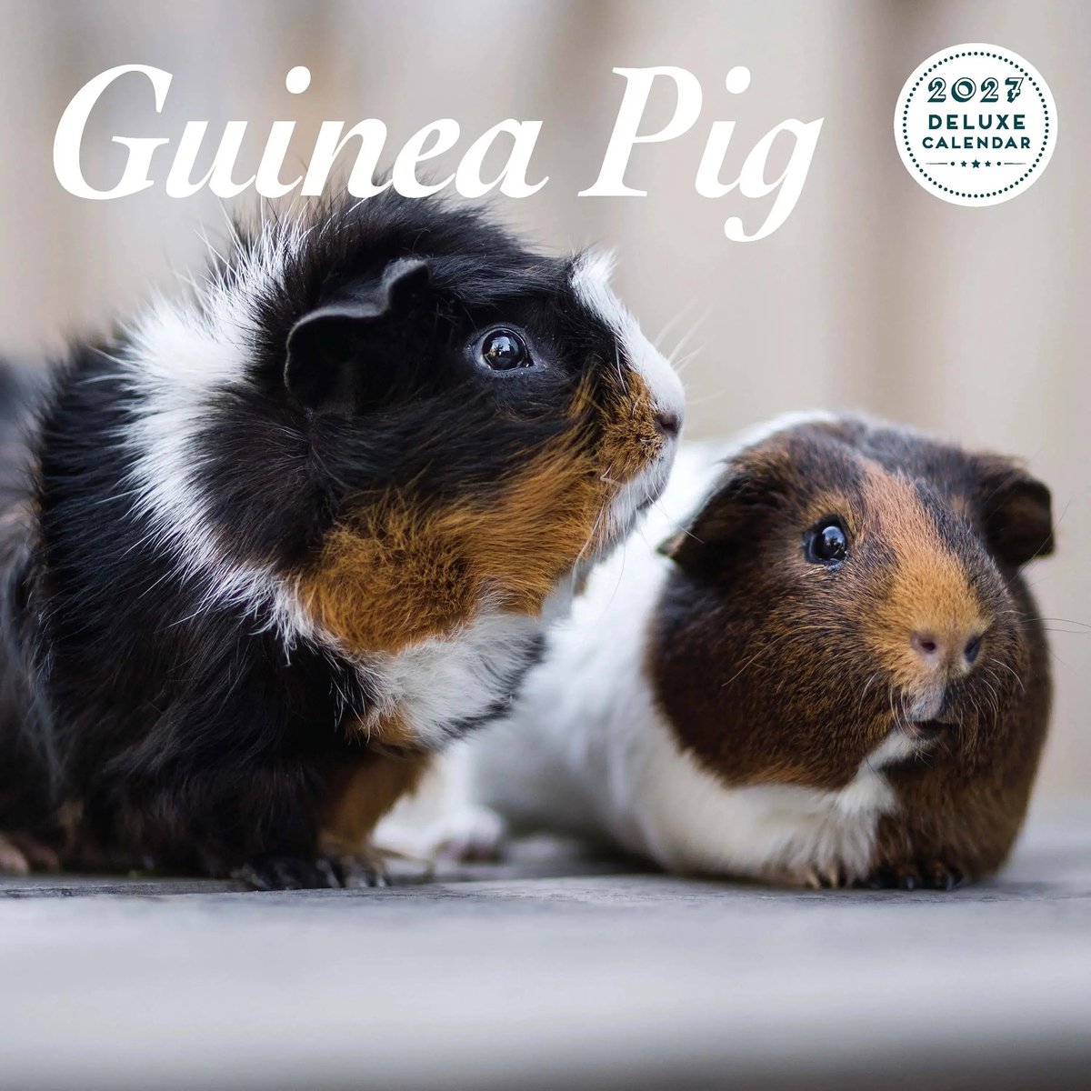 Cavia Kalender 2027 Deluxe