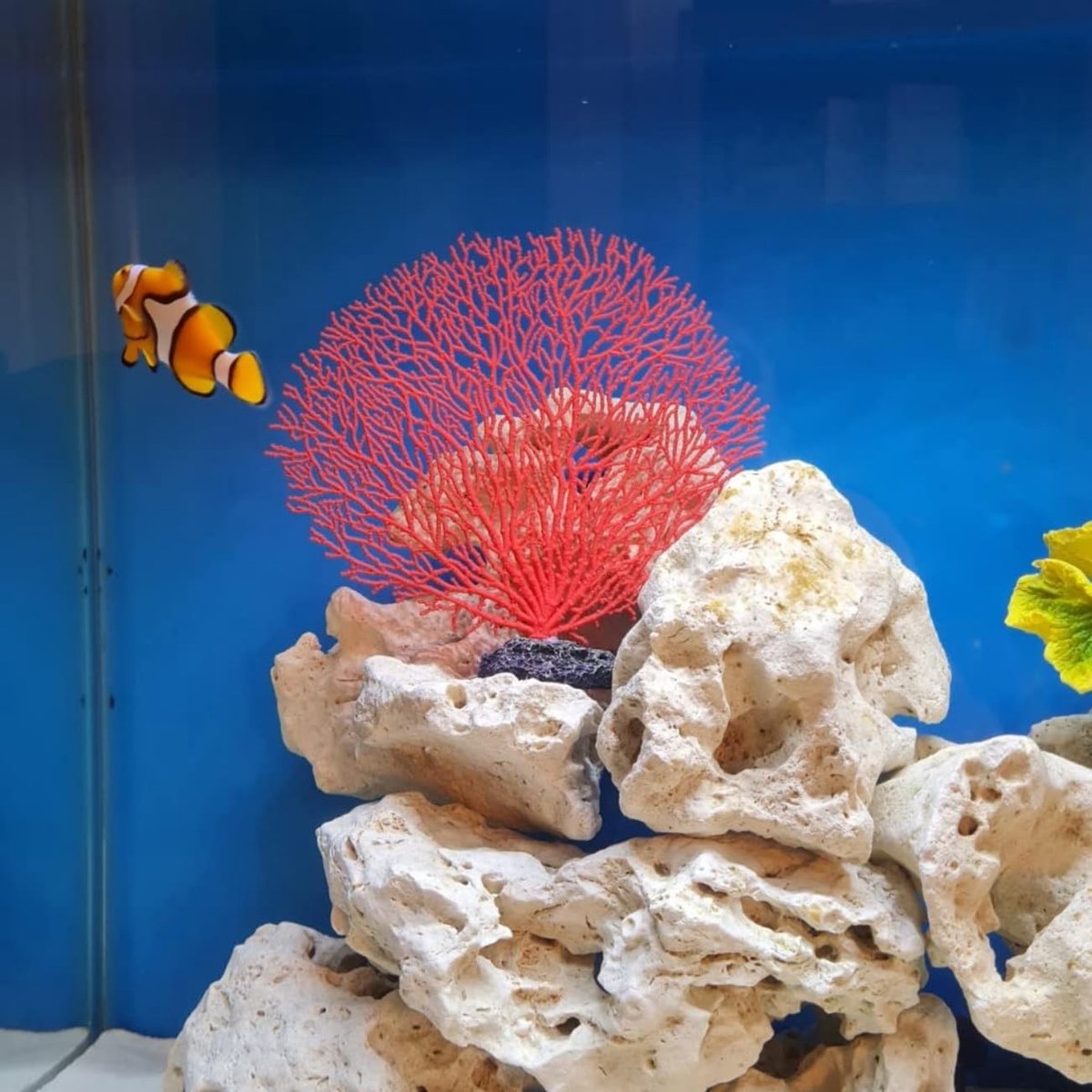 Dailygoods- Kunstmatig Koraal Realistisch - Aquariumdecoratie - PVC Materiaal - Zeeanemoon Ornament - Simulatie Landschap - 18x16x5 cm