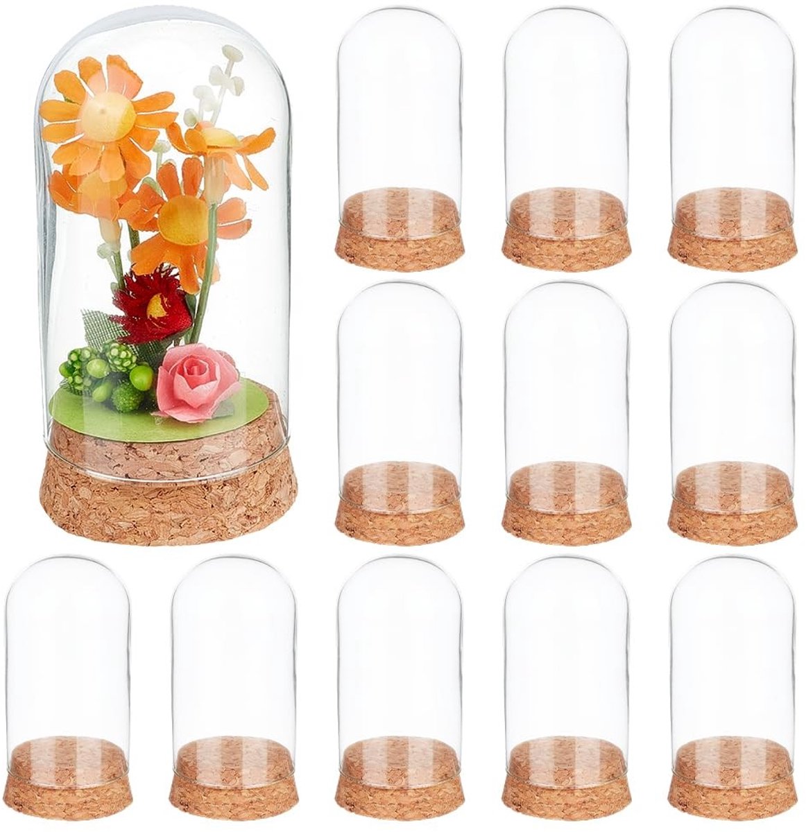 Dailygoods - 20 Stuks Decoratieve Koepelvormige Potten - Glazen Cloche met Kurkbasis voor Bloemen en Ambachten