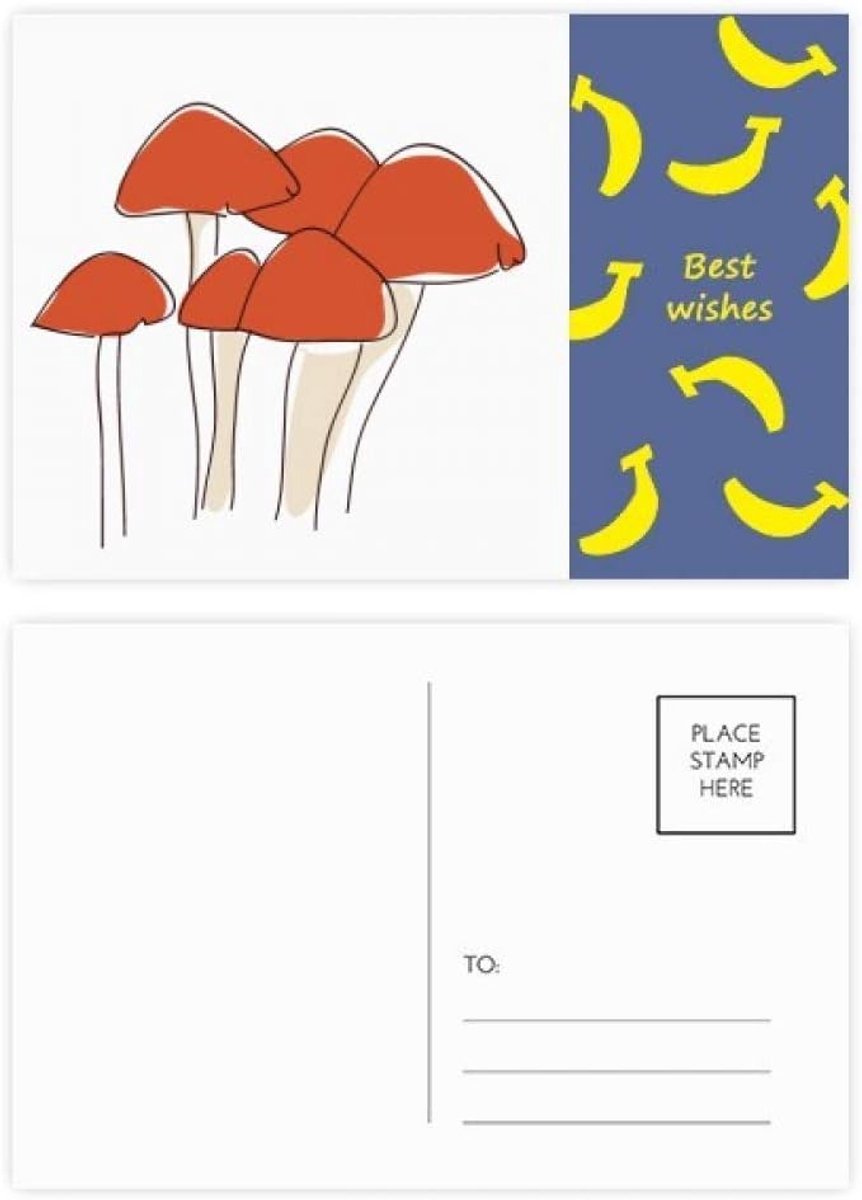 Ansichtkaarten Set - Bedankkaarten Lijn - Notities Maken - Illustratie Patroon - 20 Stuks - Multicolor