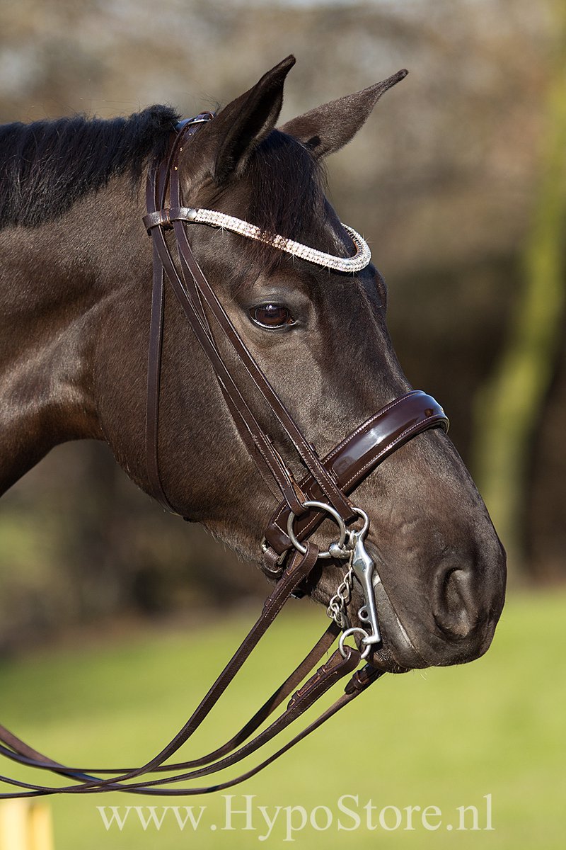 Premiera 'Prades' Bruin Stang en Trens Hoofdstel met Bling Frontriem - Cob Maat