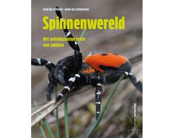 Spinnenwereld