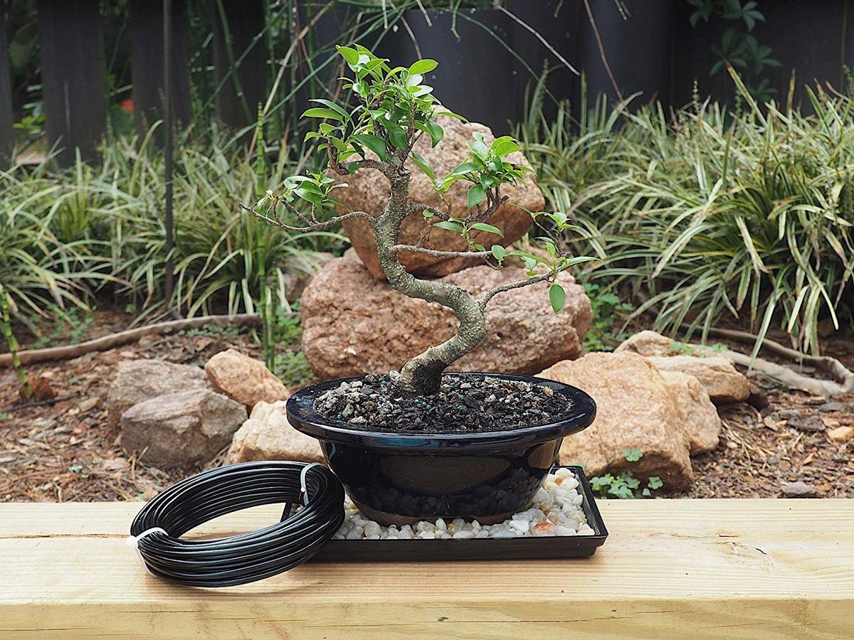 Omgoods - 4,0 mm Bonsai Trainingsdraad - Geanodiseerd Aluminium Rol