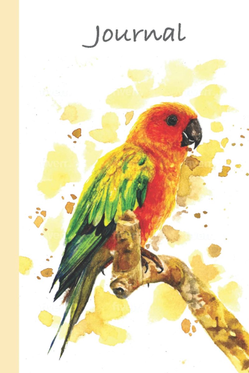 Sun Conure - Lined Paper