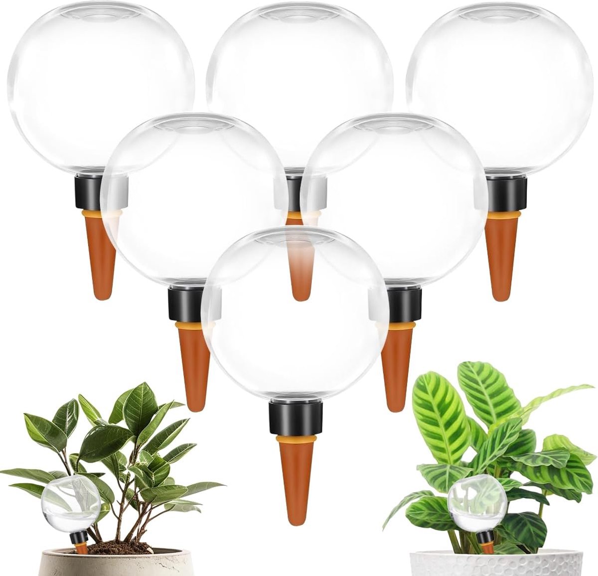 Bewateringsballen voor planten
