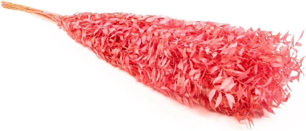 Gedroogde Ruscus Takken - Droogboeket Roze - Decoratie Huis - Natuurlijke Kleur - 75 cm - Roze