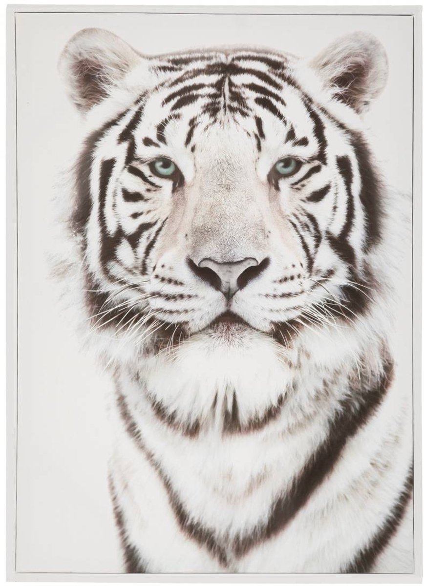 Ingelijst doek DIEREN