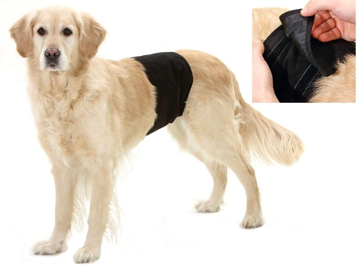 Hond Pant, 74 x 23 cm, Zwart