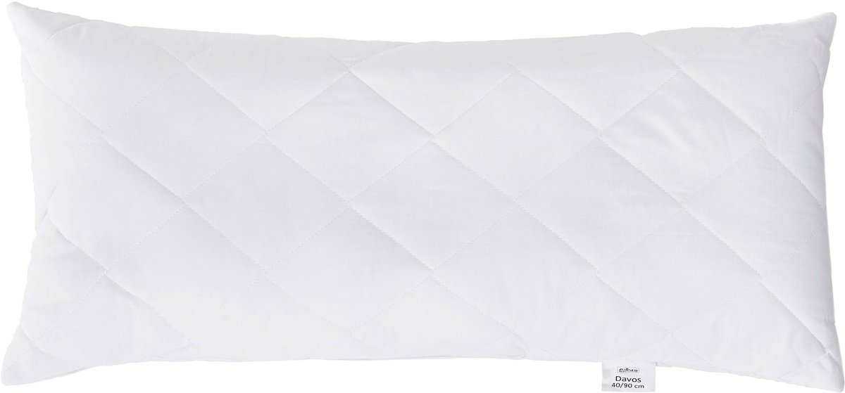 Omgoods - Allergievriendelijk Kussen met Rits 40x90 cm