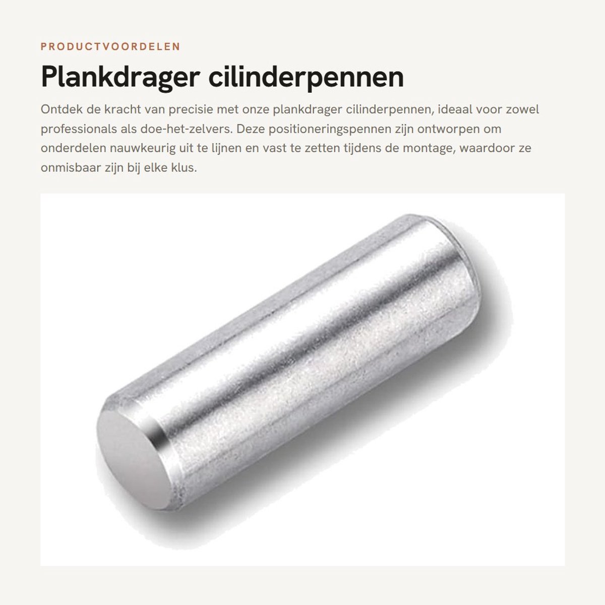 Dailygoods- Plankdrager - Cilinderpennen - Roestvrij Staal - Positioneringspennen - 100 Stuks - Duurzaam en Corrosiebestendig - Positioneringspen