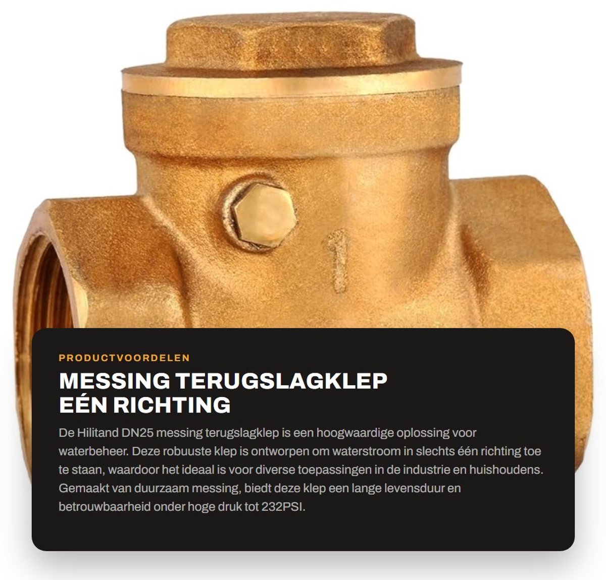 Dailygoods- Terugslagklep DN25 - Messing - Watercontroleklep - Eénrichting - 232PSI - Eenvoudige installatie - Duurzaam materiaal - Waterafsluiter