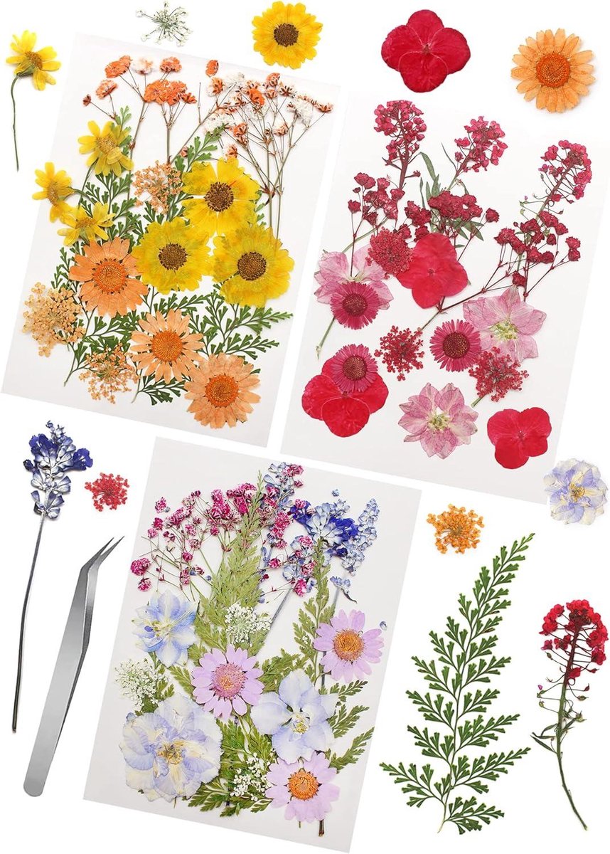 Gedroogde Bloemen - Natuurlijke Bladeren - Ambachtelijke Decoratie - 54 Stuks Assortiment - 18 x 12.6 cm - Rood Paars Geel
